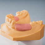 RAYSHAPE DLP 3D принтер Shape 1+ Dental